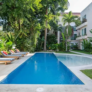 Tendenza Centro , Playa del Carmen Mexico